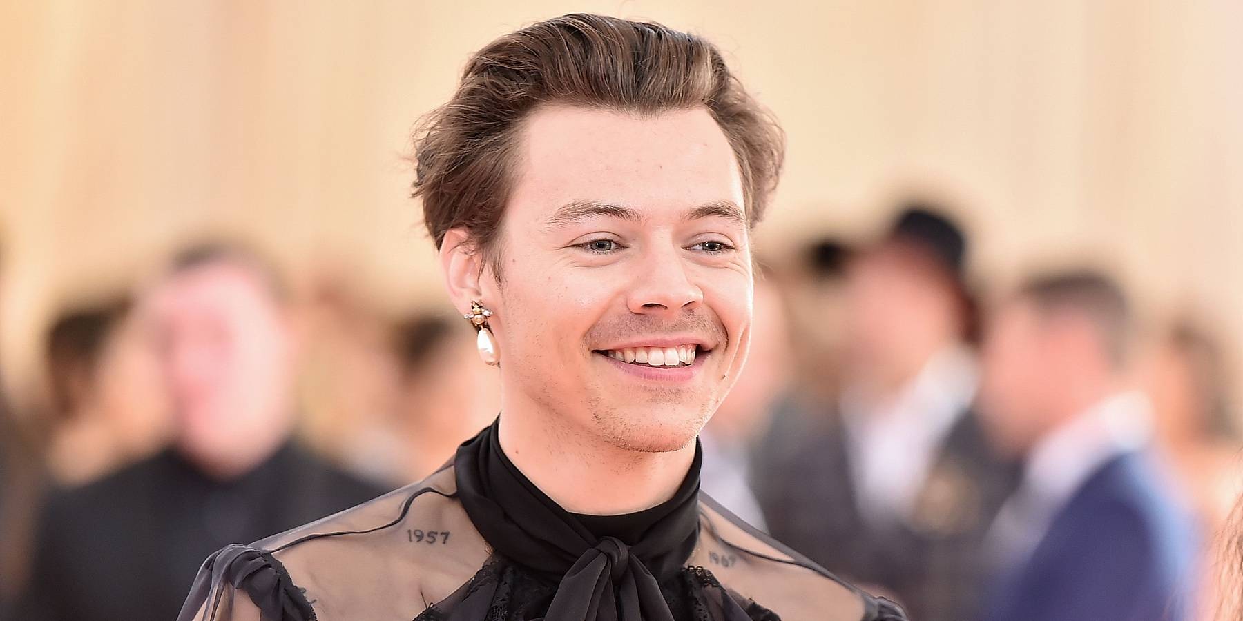 Don T Worry Darling 10 Facts Only Die Hard Fans Know About Harry Styles Don T Worry Darling 10 Facts Only Die Hard Fans Know About Harry Styles