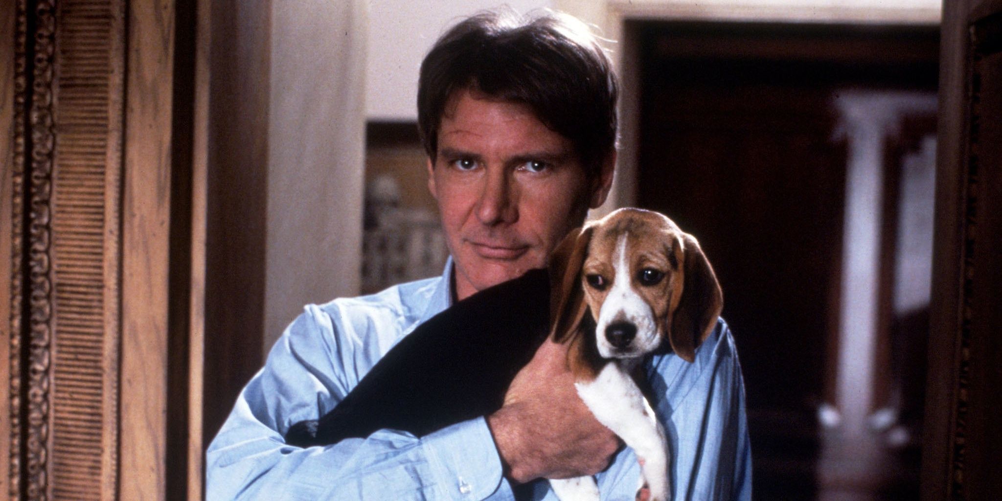Henry Turner holding a beagle in Regarding Henry