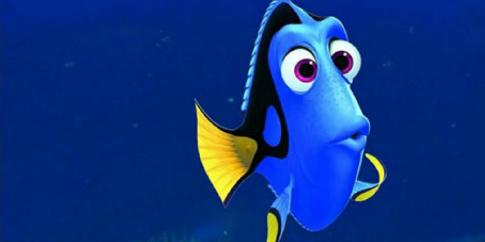 Dory thinking about things in FInding Nemo