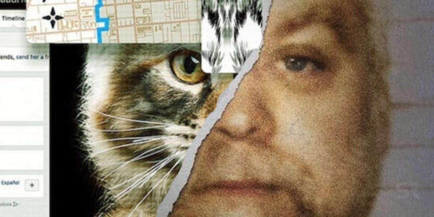 Making a Murderer and Don't F With Cats