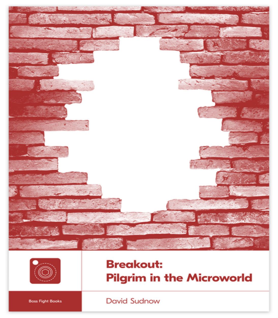 Breakout: Pilgrim in the Microworld