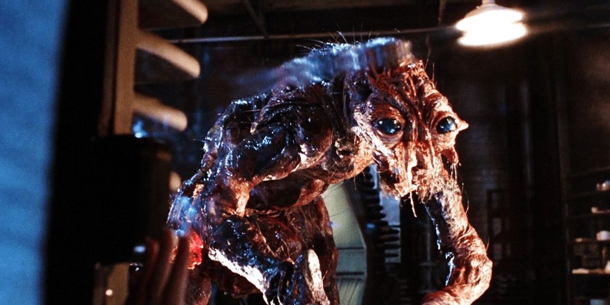 The Fly itself in David Cronenberg's 1986 remake of The Fly