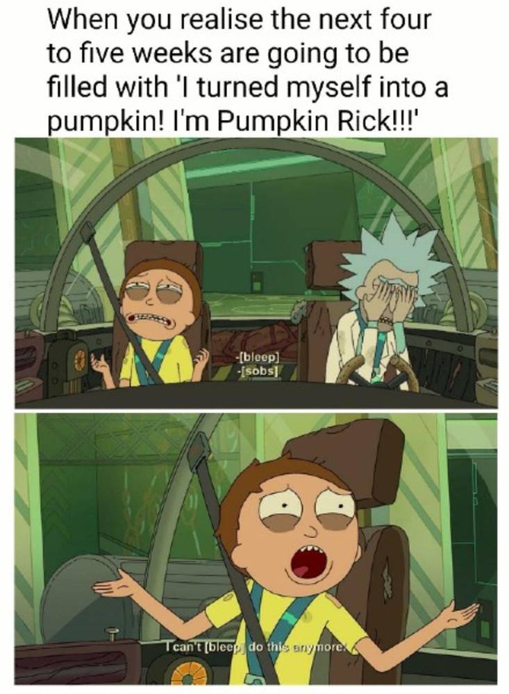 10 Best Rick Morty Memes Only True Fans Will Understand