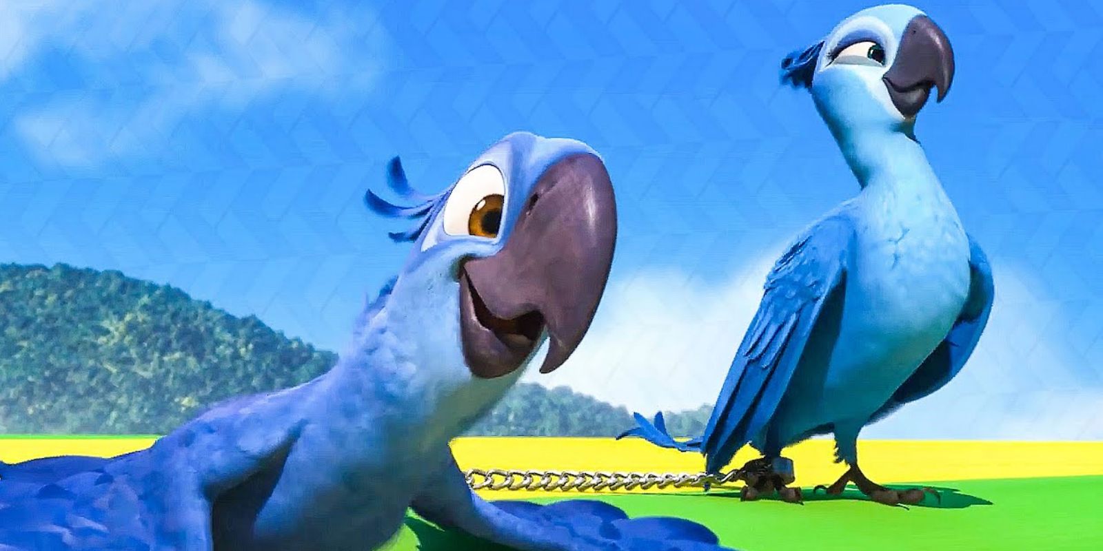 Rio