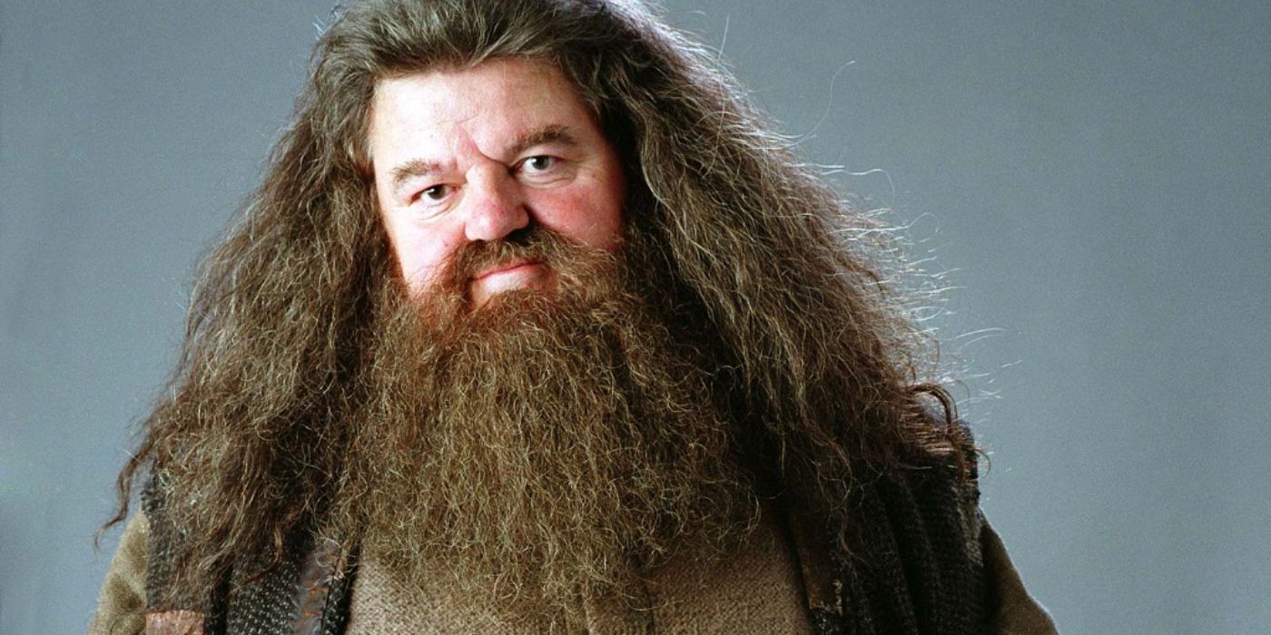 Hagrid standing against a grey background in Harry Potter