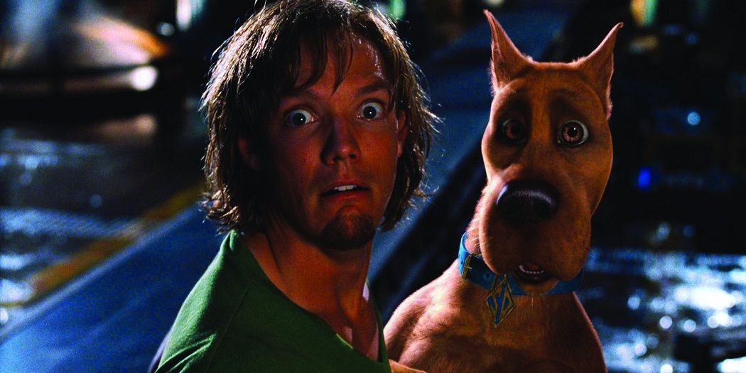 Scooby Doo shaggy
