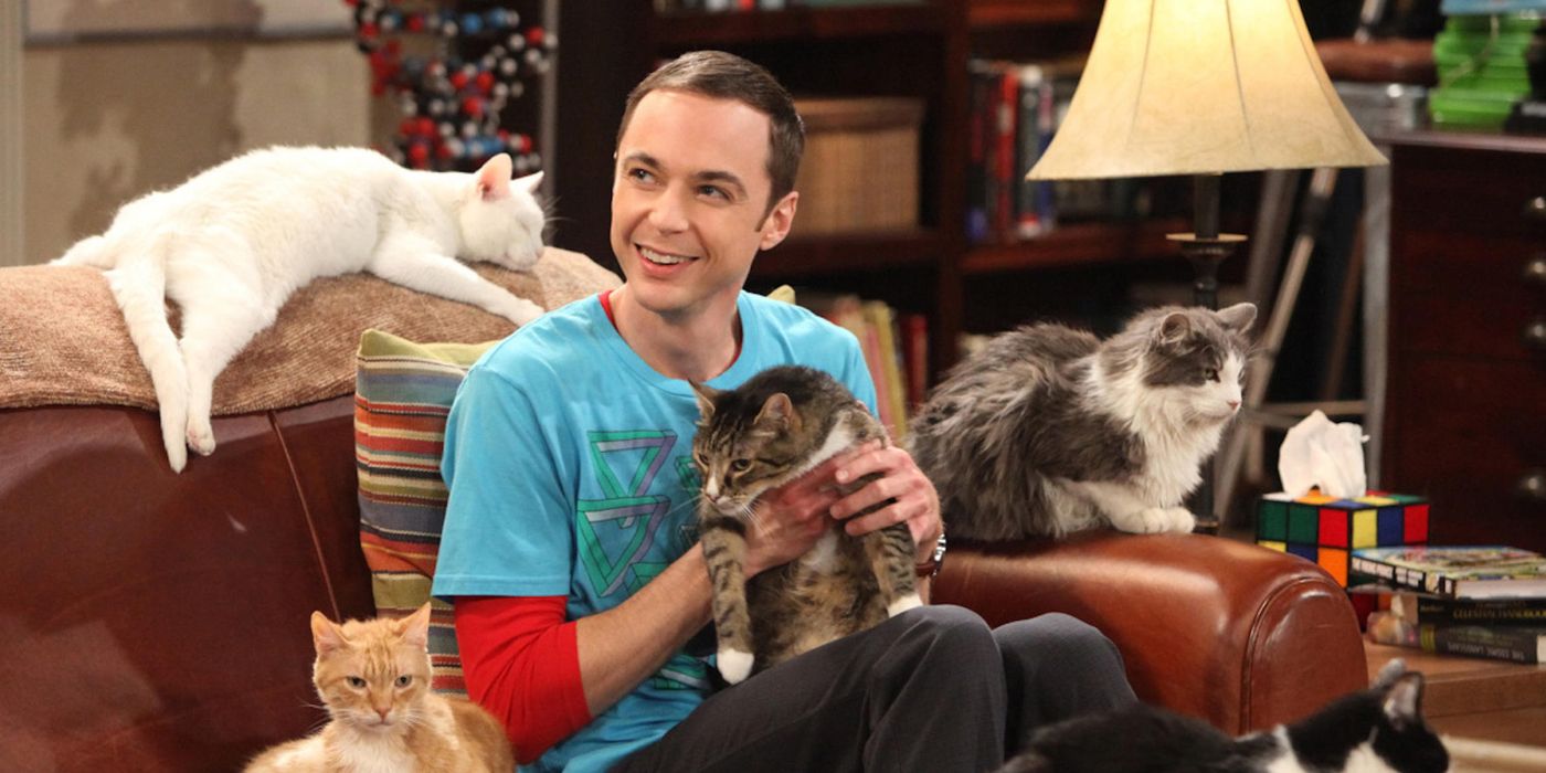 Sheldon and his cats on The Big Bang Theory
