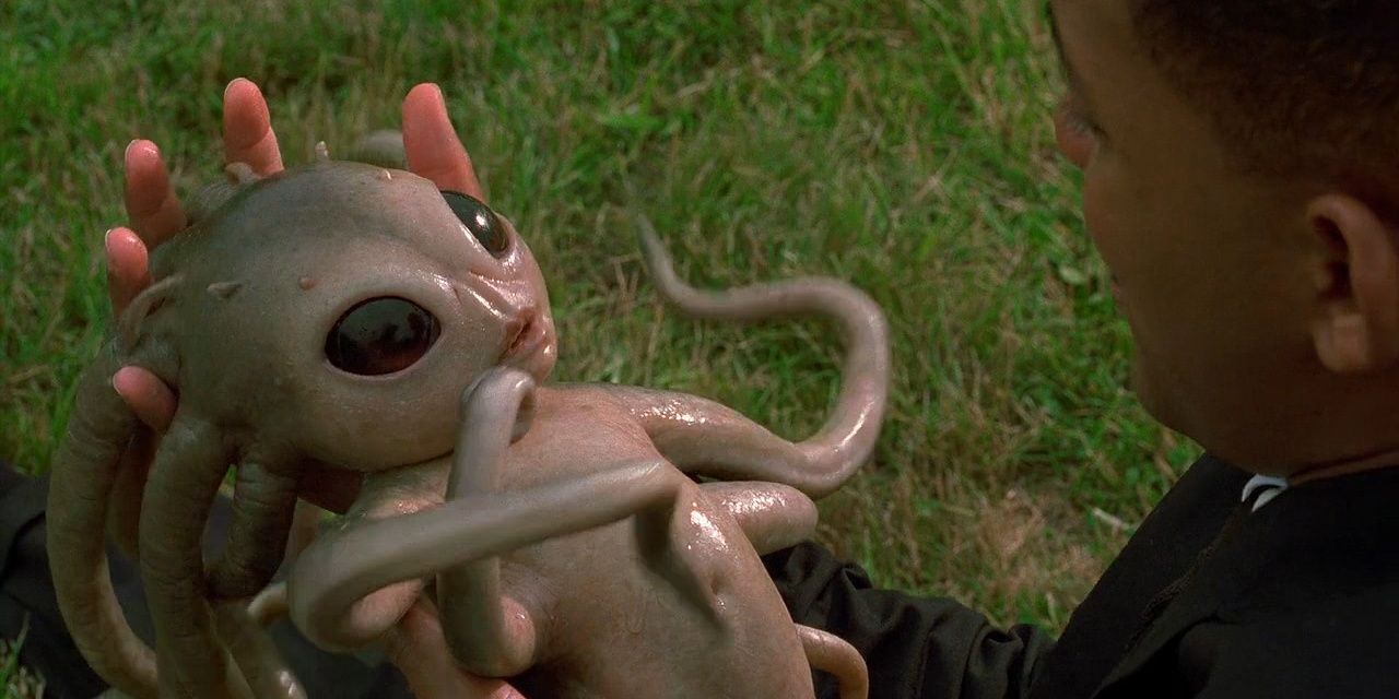 Squid Baby Cropped