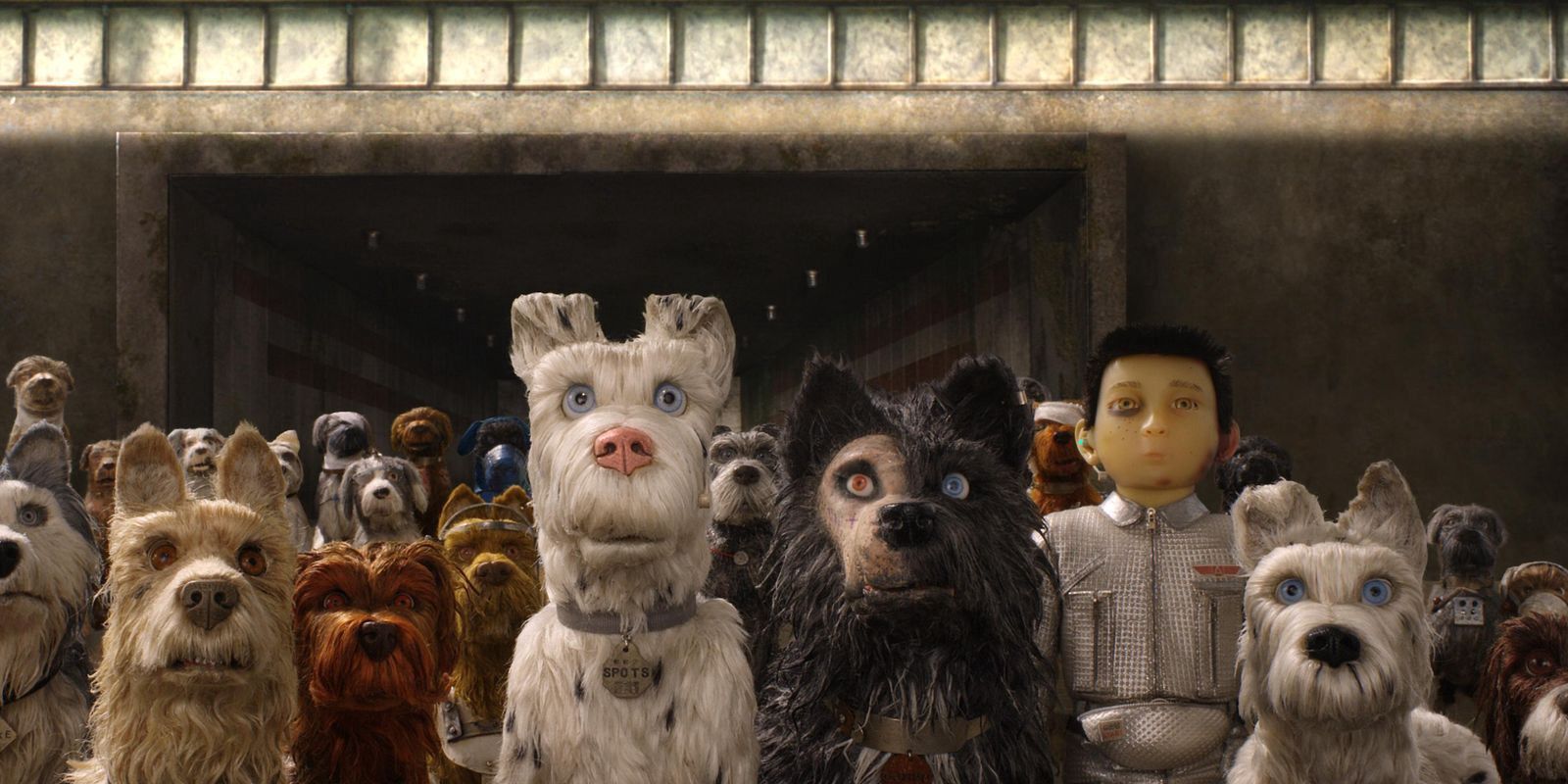 The main cast of Isle of Dogs final image