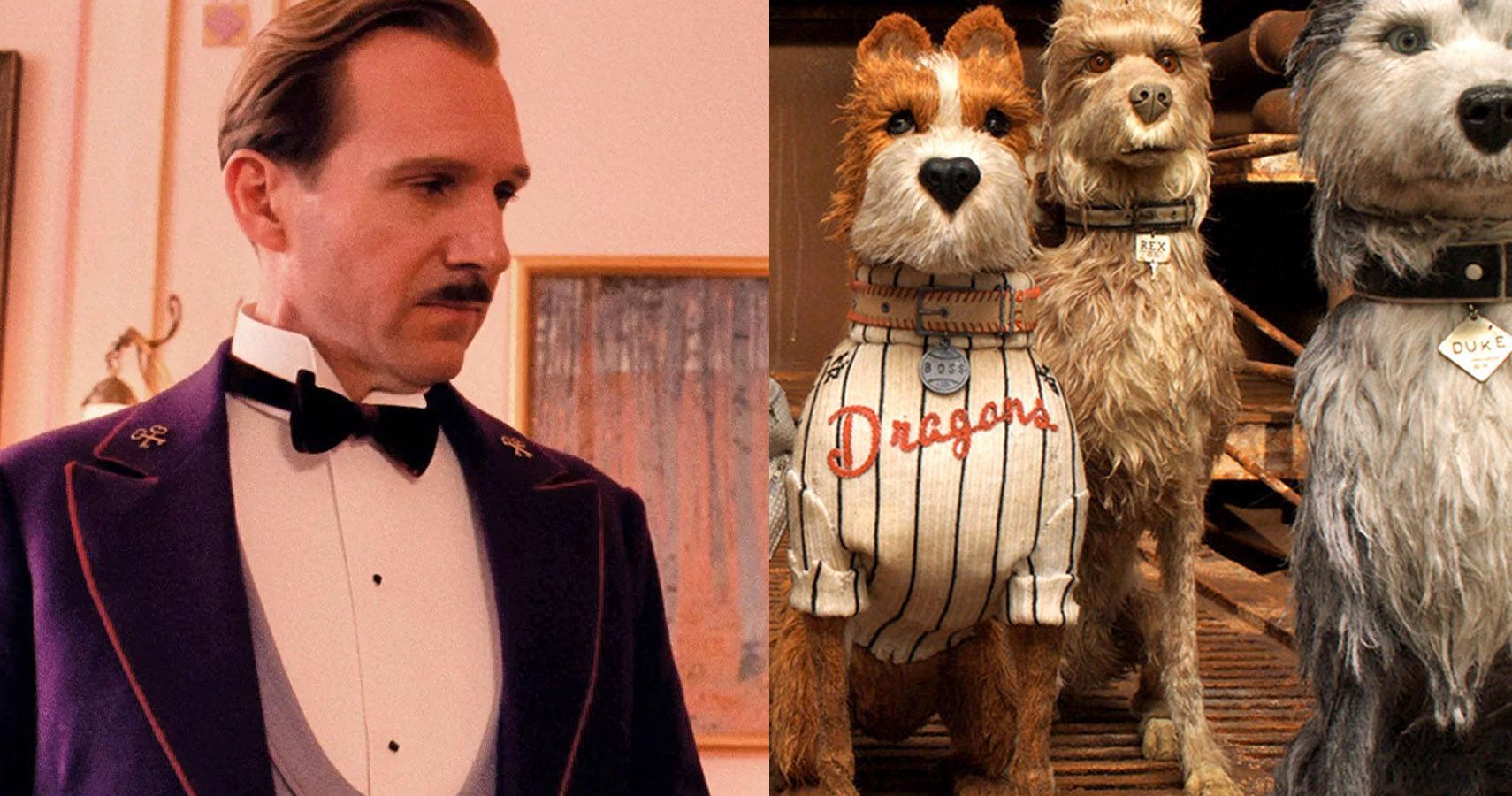 10 Wes Anderson Tropes That His Fans Should Recognize