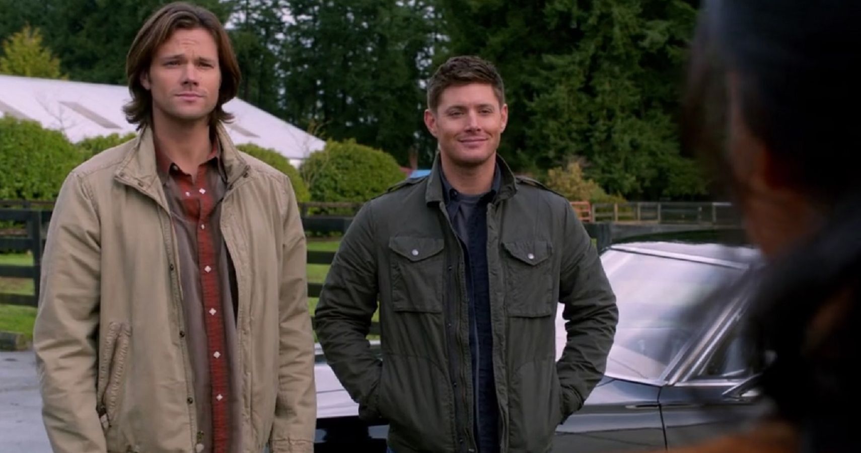 Winchester Alignments Promo