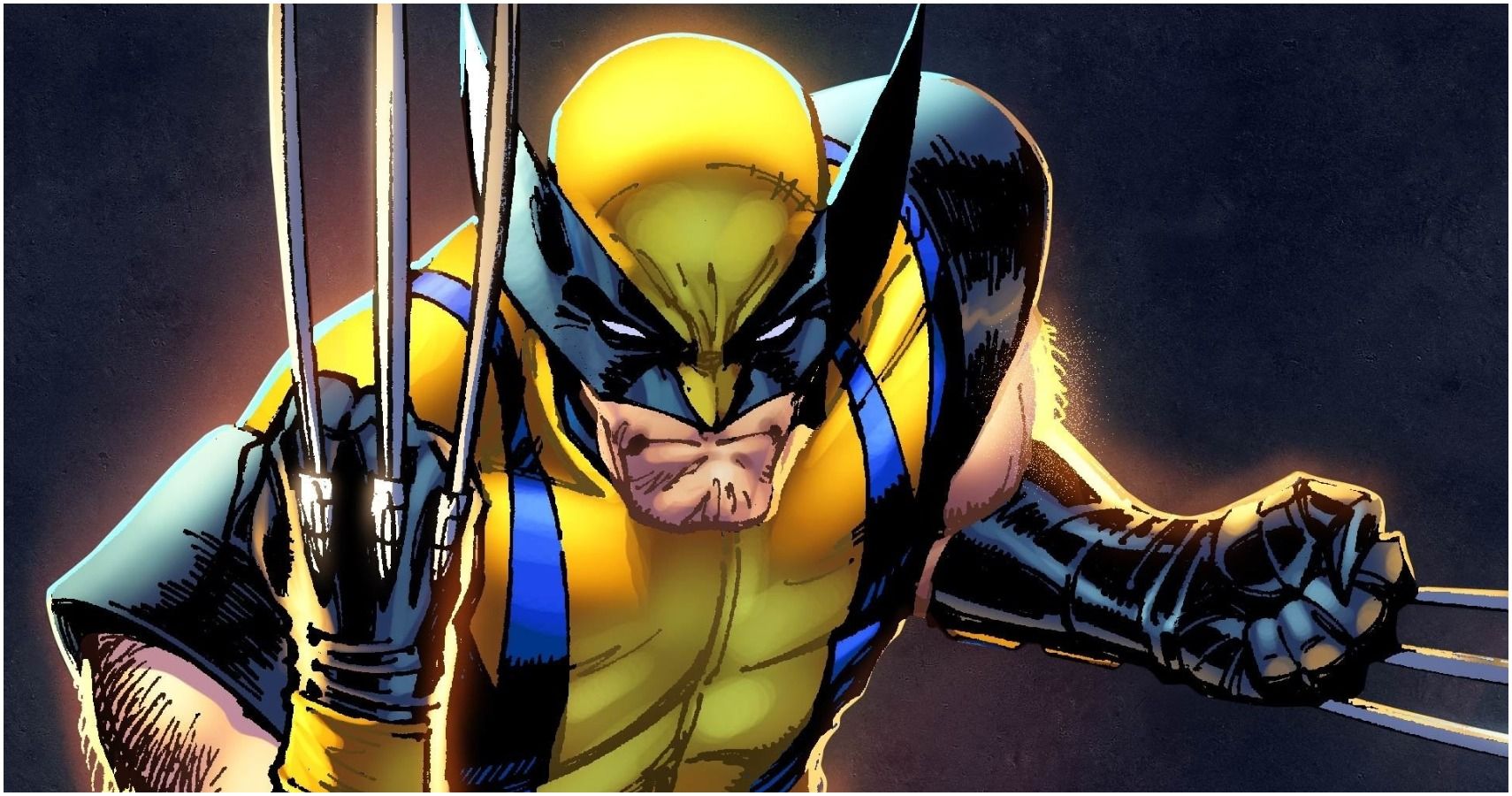 Wolverine Cover Image