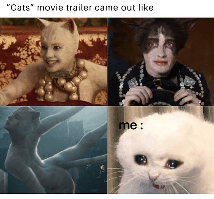 10+ Cats Movie Meme Face