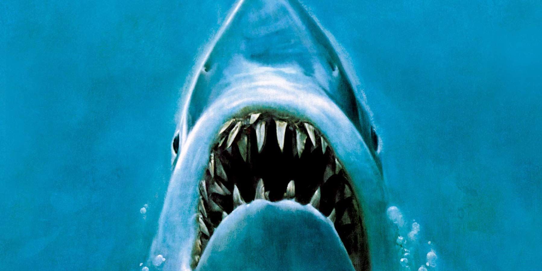 jaws