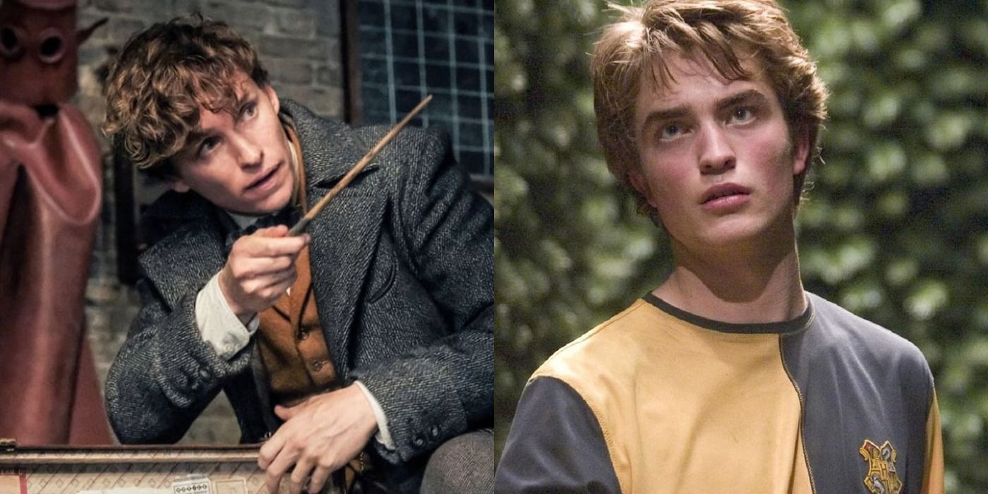 Split image of Newt Scamander and Cedric Diggory from Harry Potter