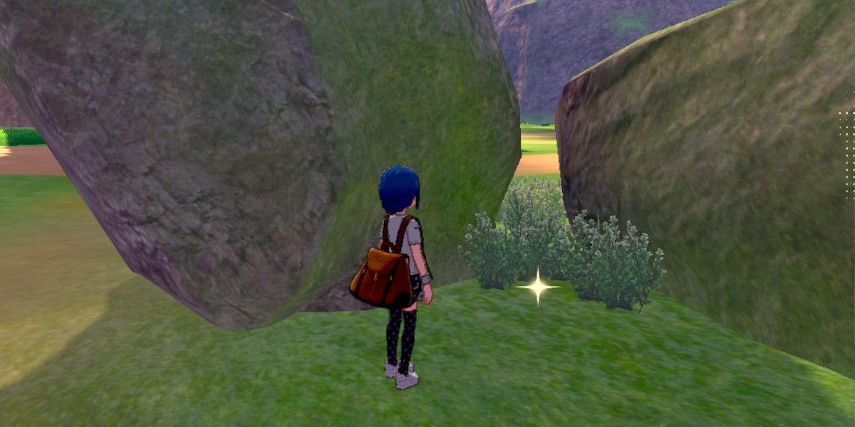 Pokemon Sword &amp; Shield Wild Area Shiny Item