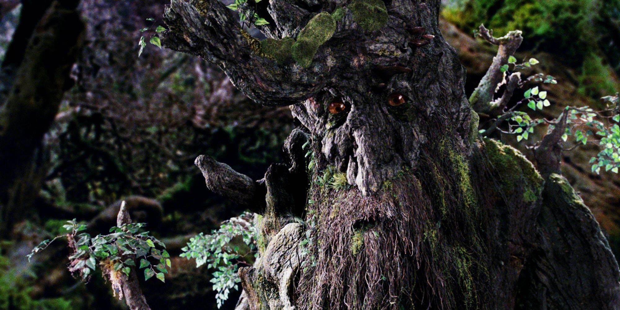 Treebeard looking serious in Lord Of The Rings 