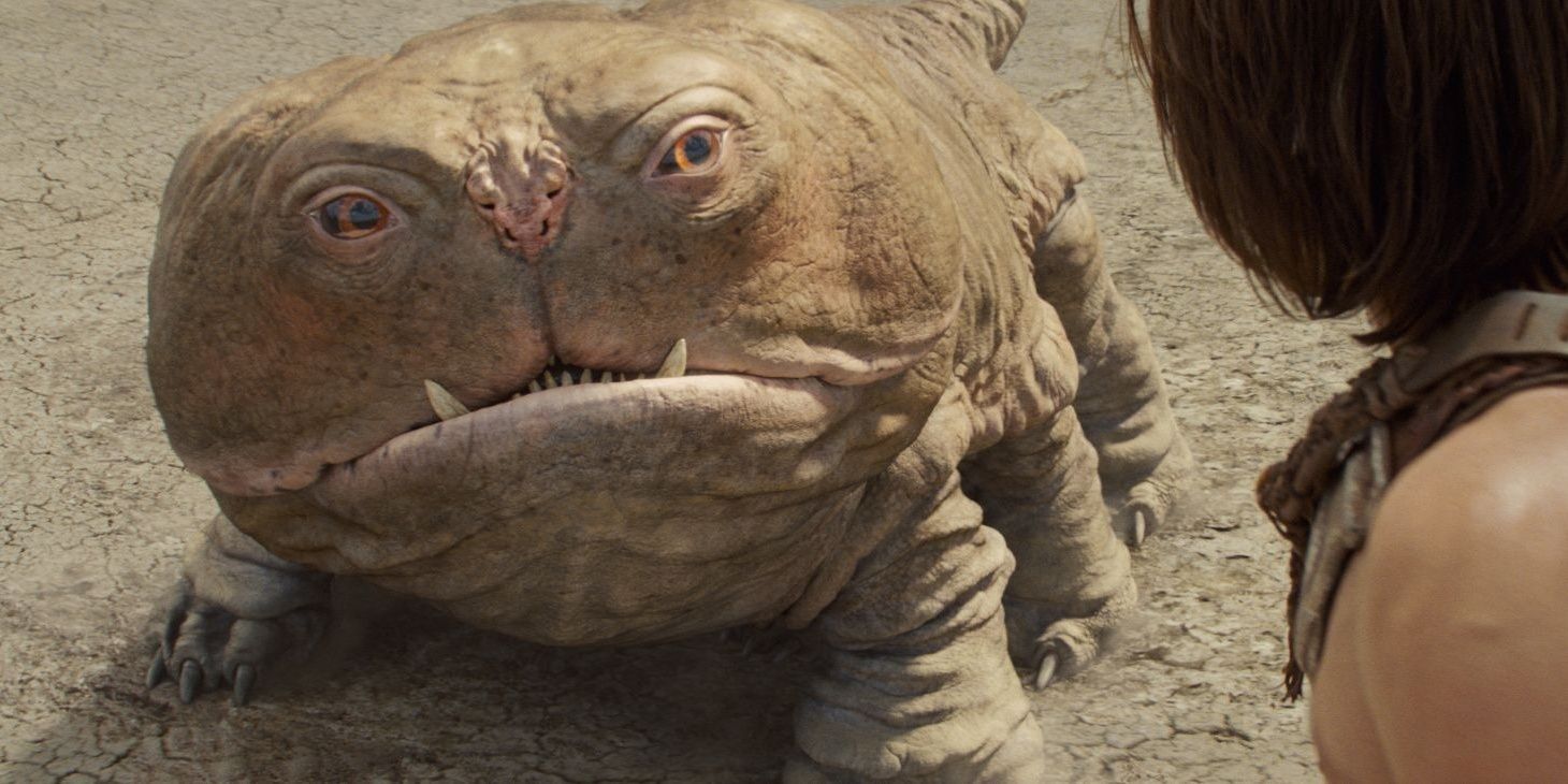 woola Cropped