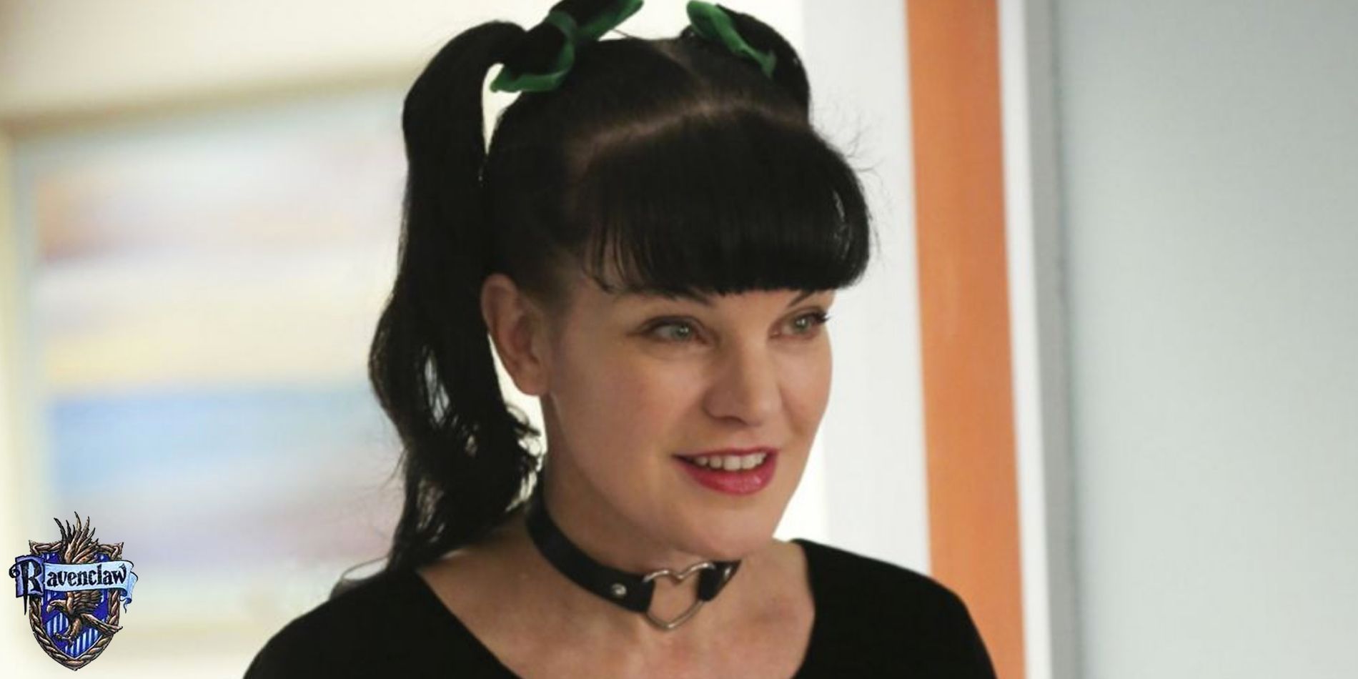 NCIS Characters Sorted Into Hogwarts Houses