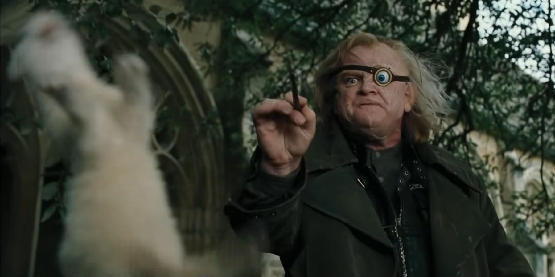 Alastor Mad-Eye Moody using magic on Draco Malfoy as a ferret in Harry Potter And The Goblet Of Fire