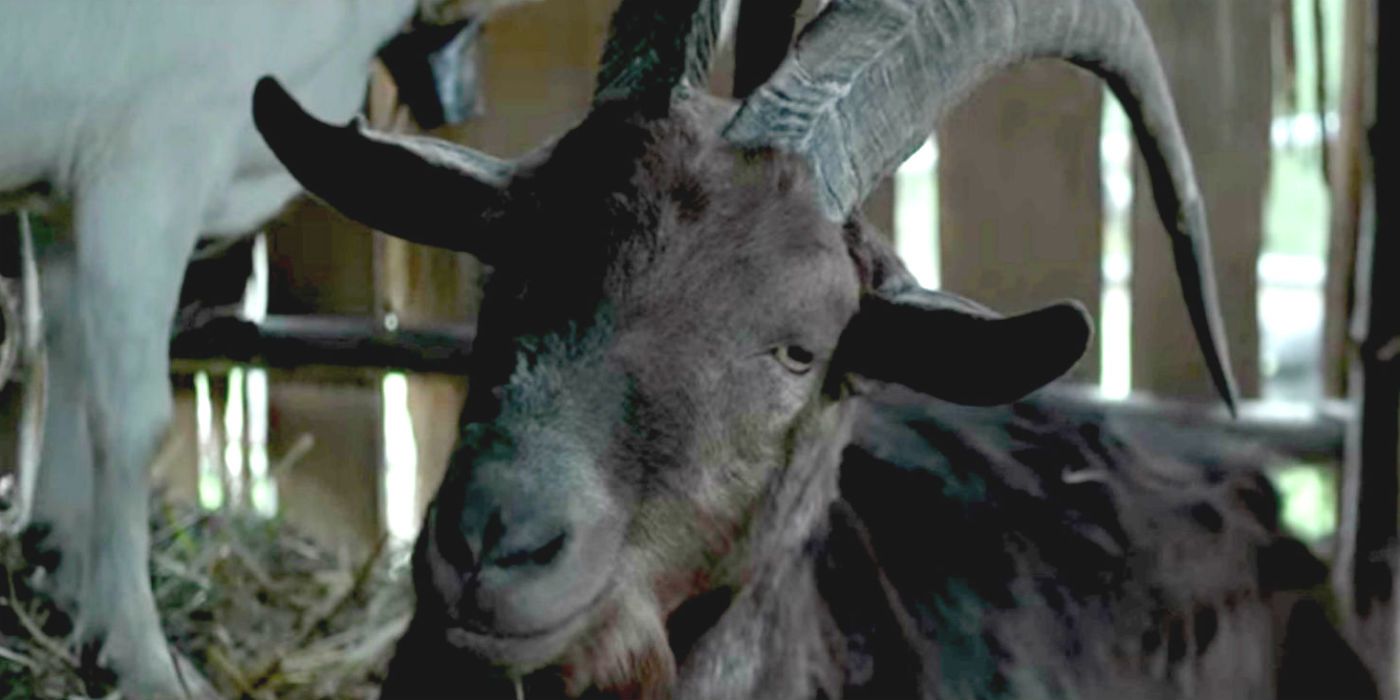 Black Phillip from The Witch 2015