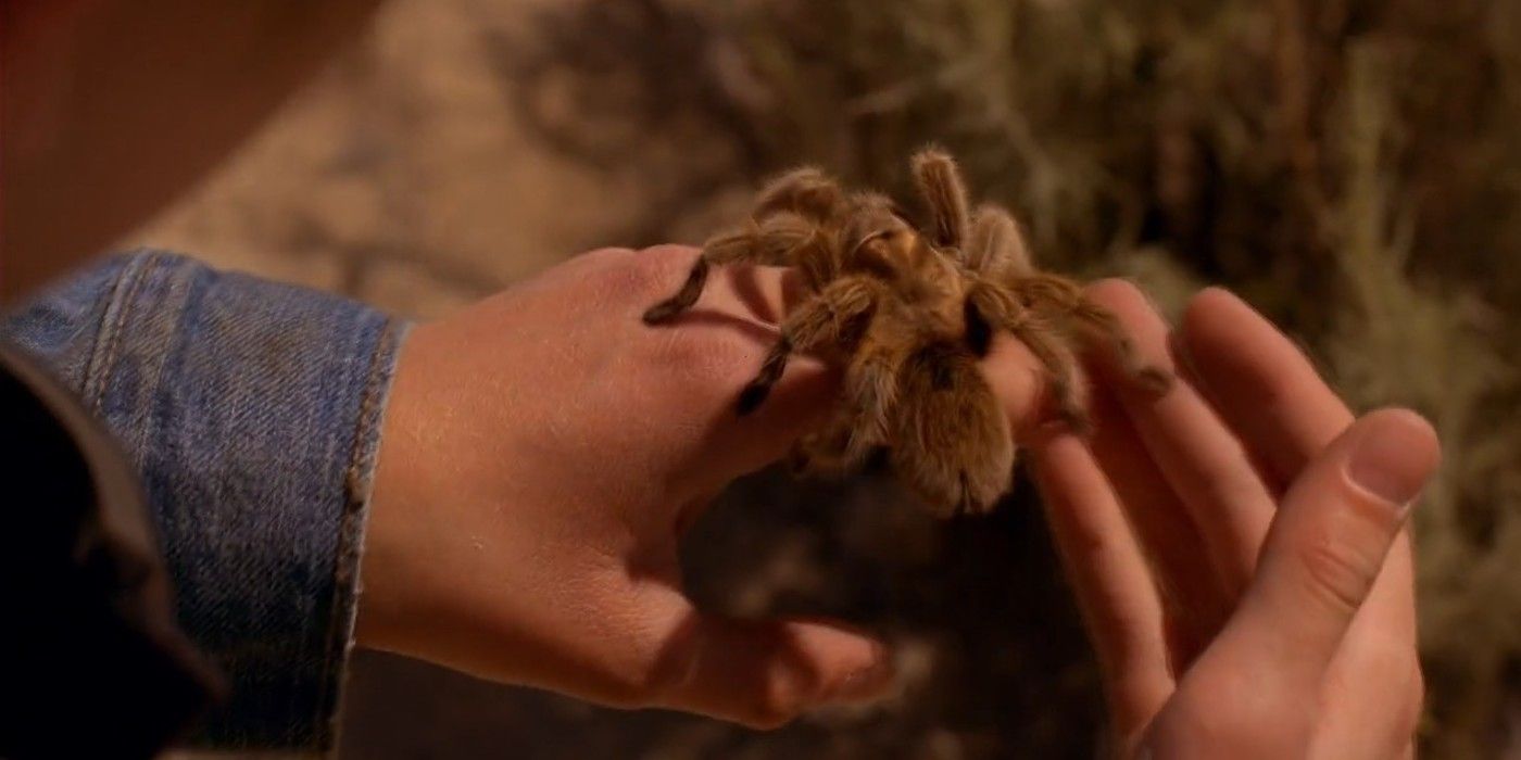 A young boy from Breaking Bad holds a tarantula in his hand.