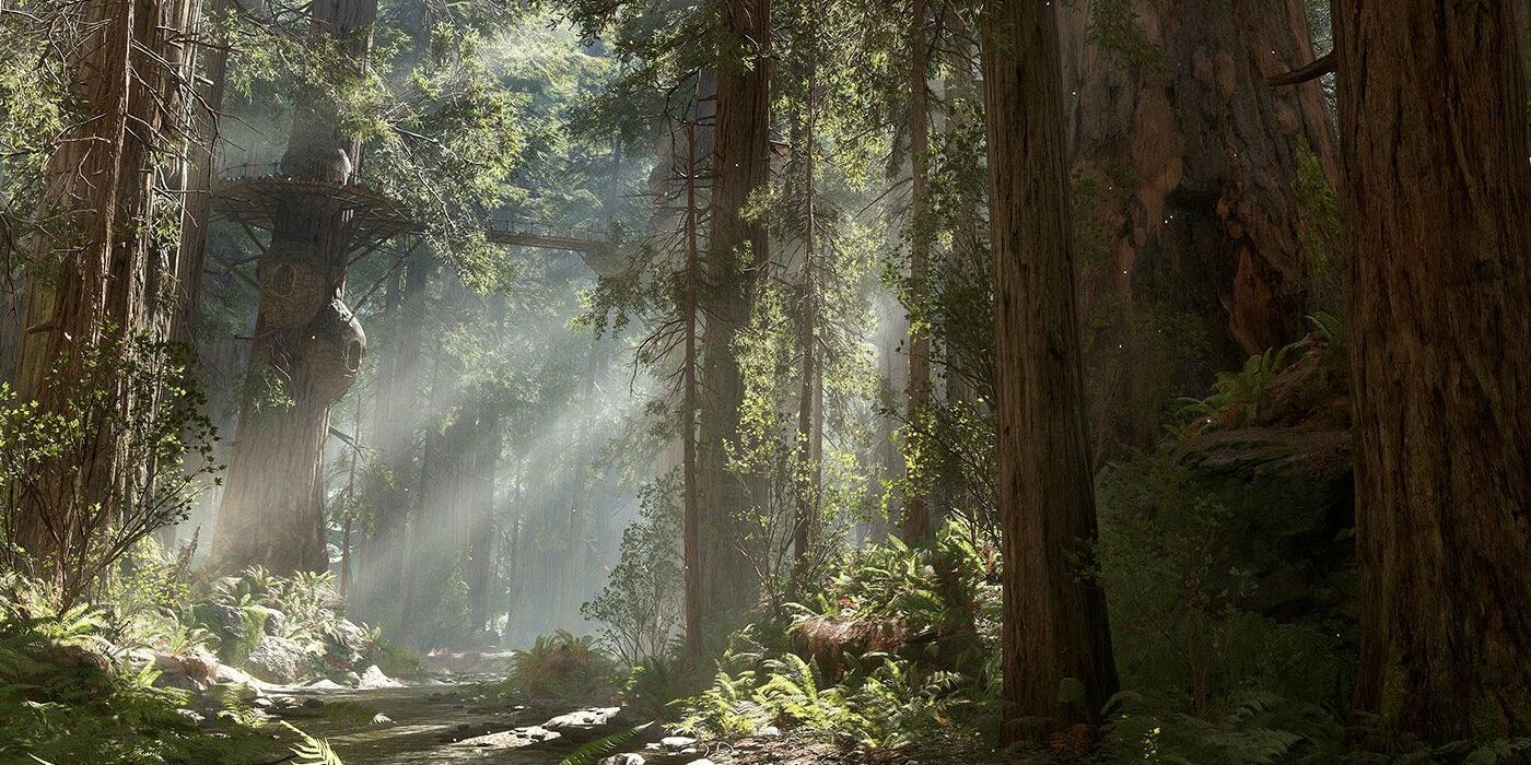 Endor (1)