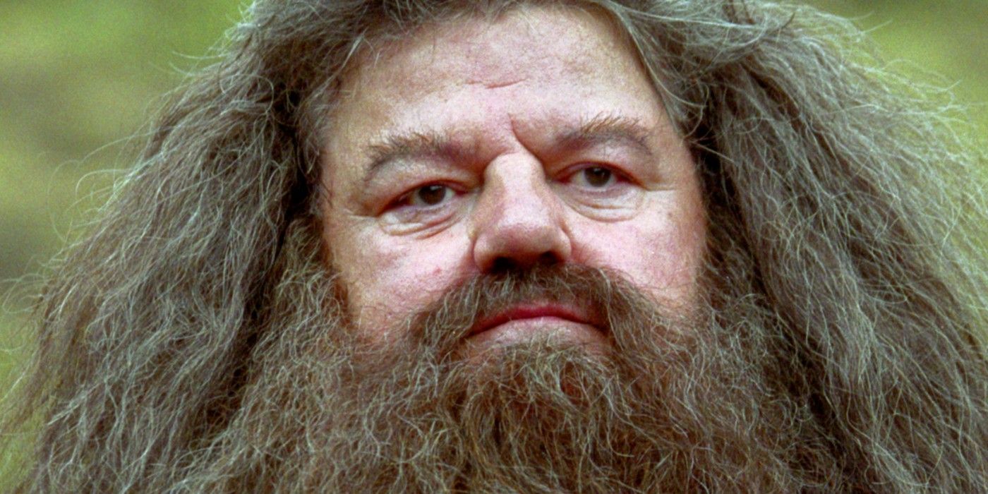 Hagrid looking upset