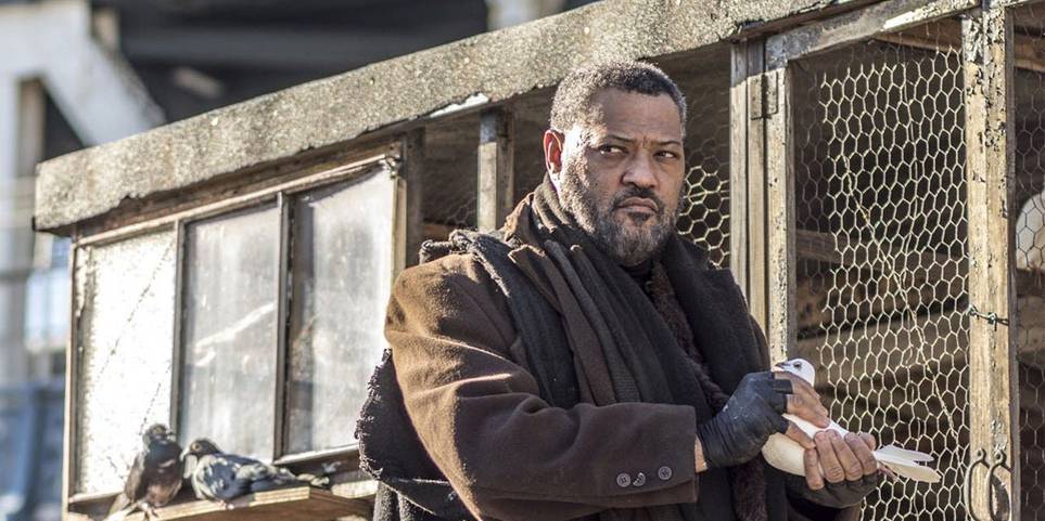 5 razões pelas quais John Wick 4 será a melhor sequência de Keanu Reeves (5 Que será Matrix 4) 2 5 razões pelas quais John Wick 4 será a melhor sequência de Keanu Reeves (5 Que será Matrix 4) 2