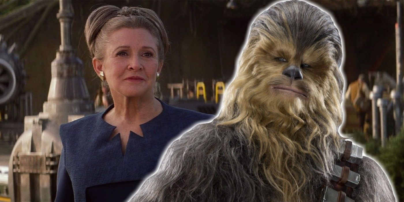 Leia and Chewbacca Star Wars The Force Awakens
