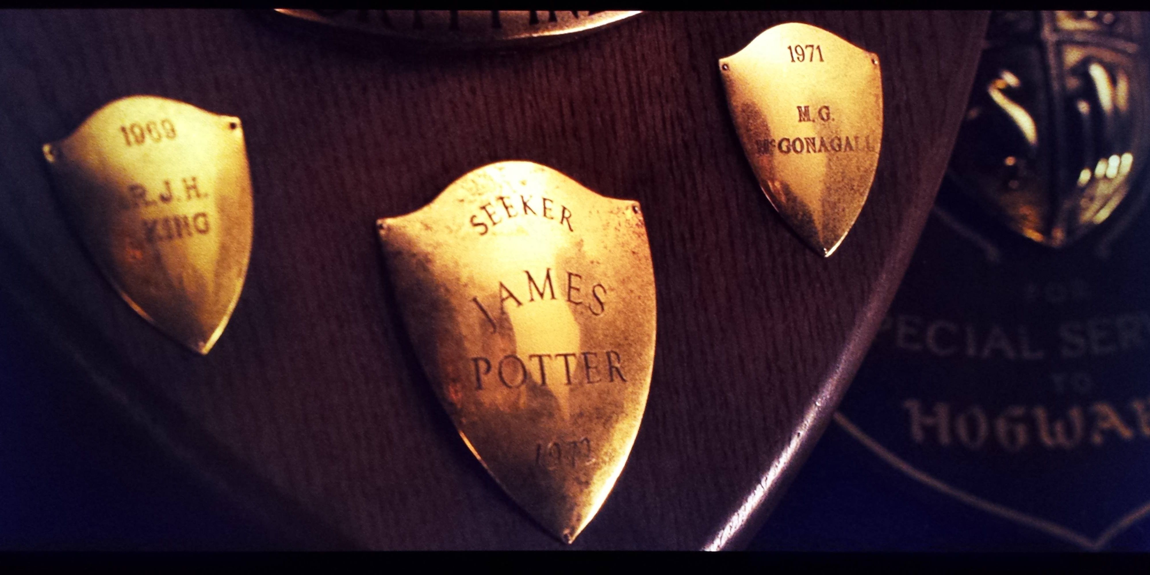 Quidditch Cropped