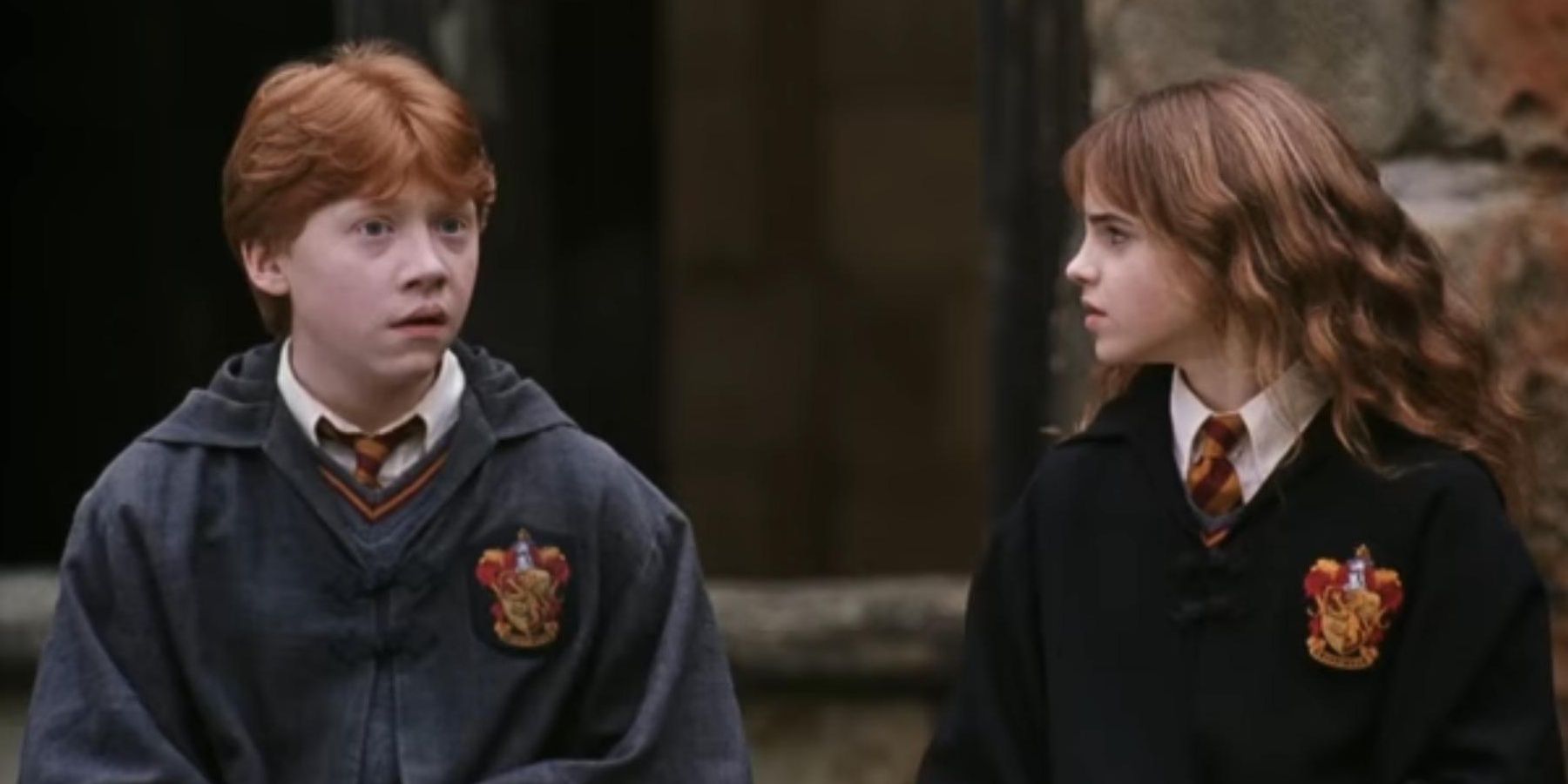 Harry Potter: 10 Hidden Details From Chamber Of Secrets