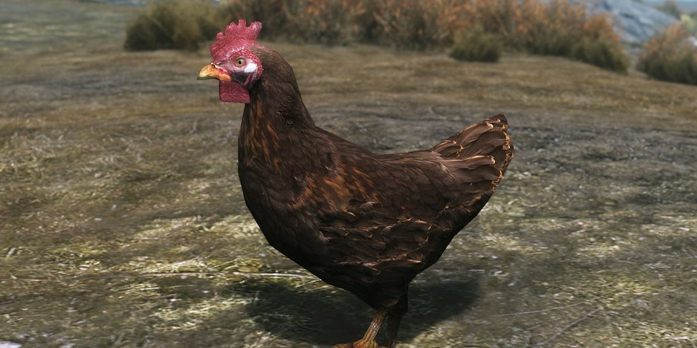 Um tiro de uma galinha de fazenda em Skyrim