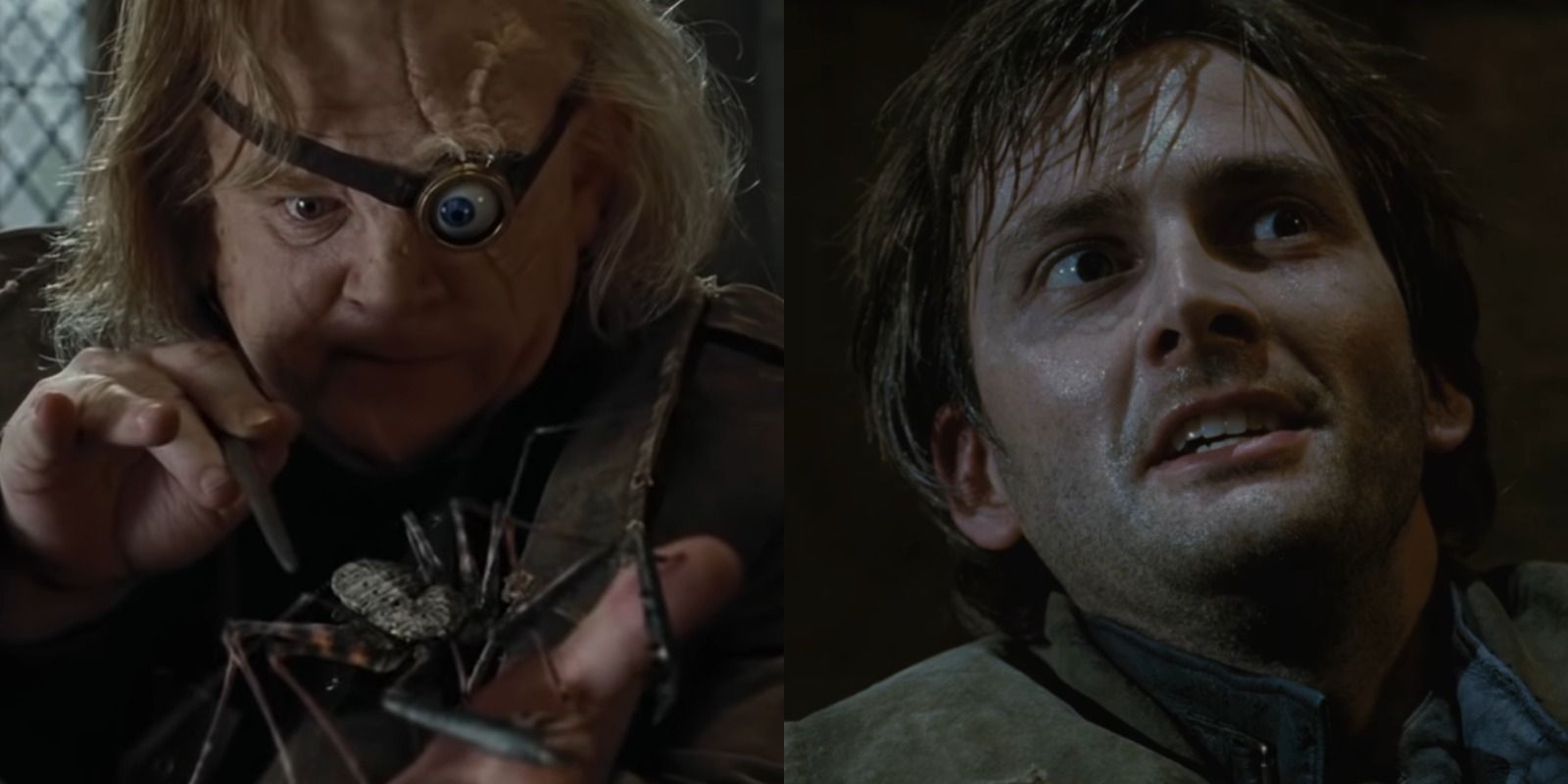 Split image of Alastor Mad-Eye Moody cursing a spider and Barty Crouch Jr. speaking to Dumbledore in Harry Potter And The Goblet Of Fire