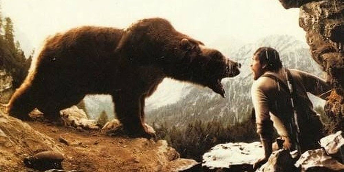 The Bear Cropped.v1