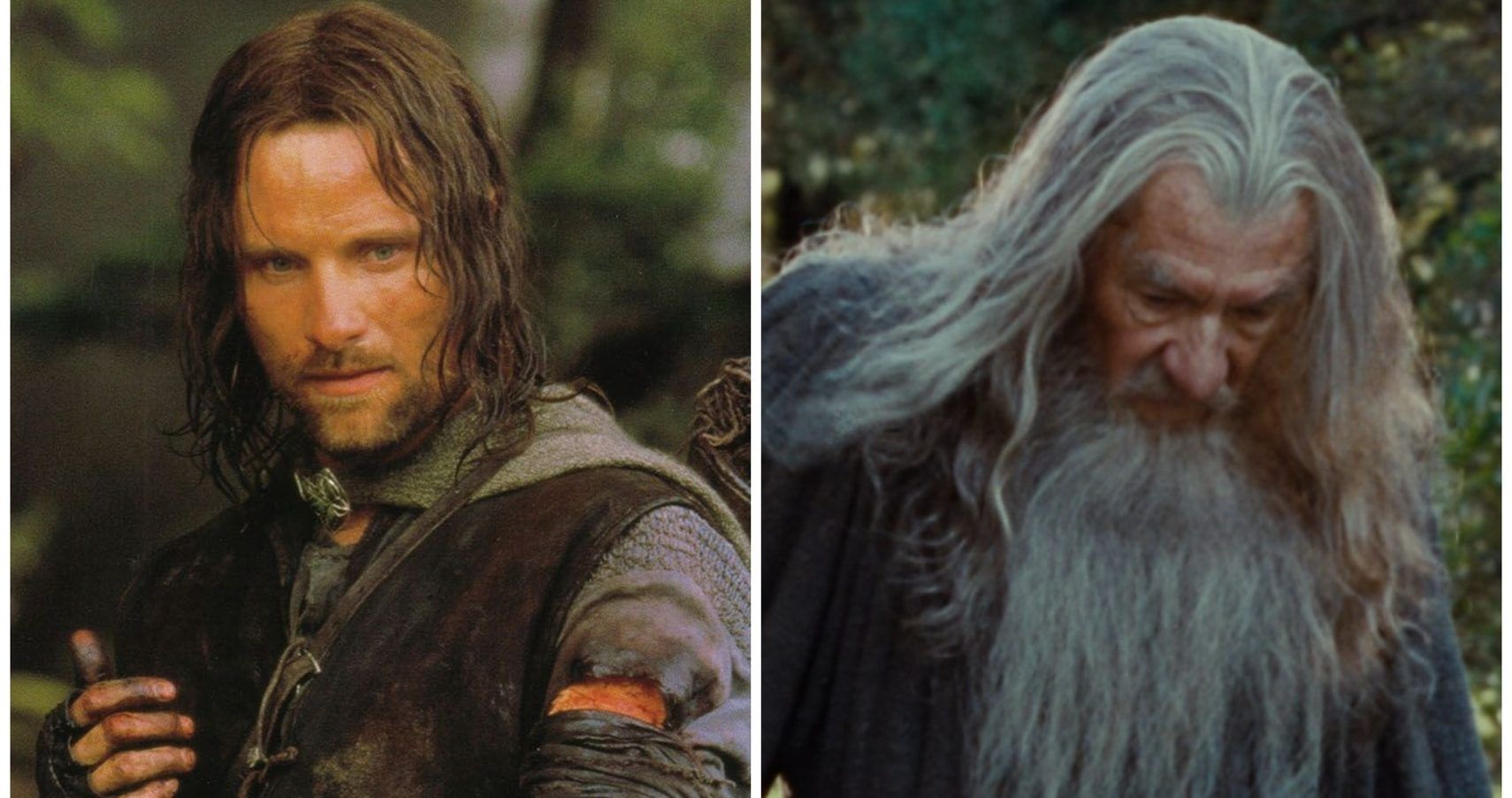 Here's what every Fellowship of the Ring member looks like in