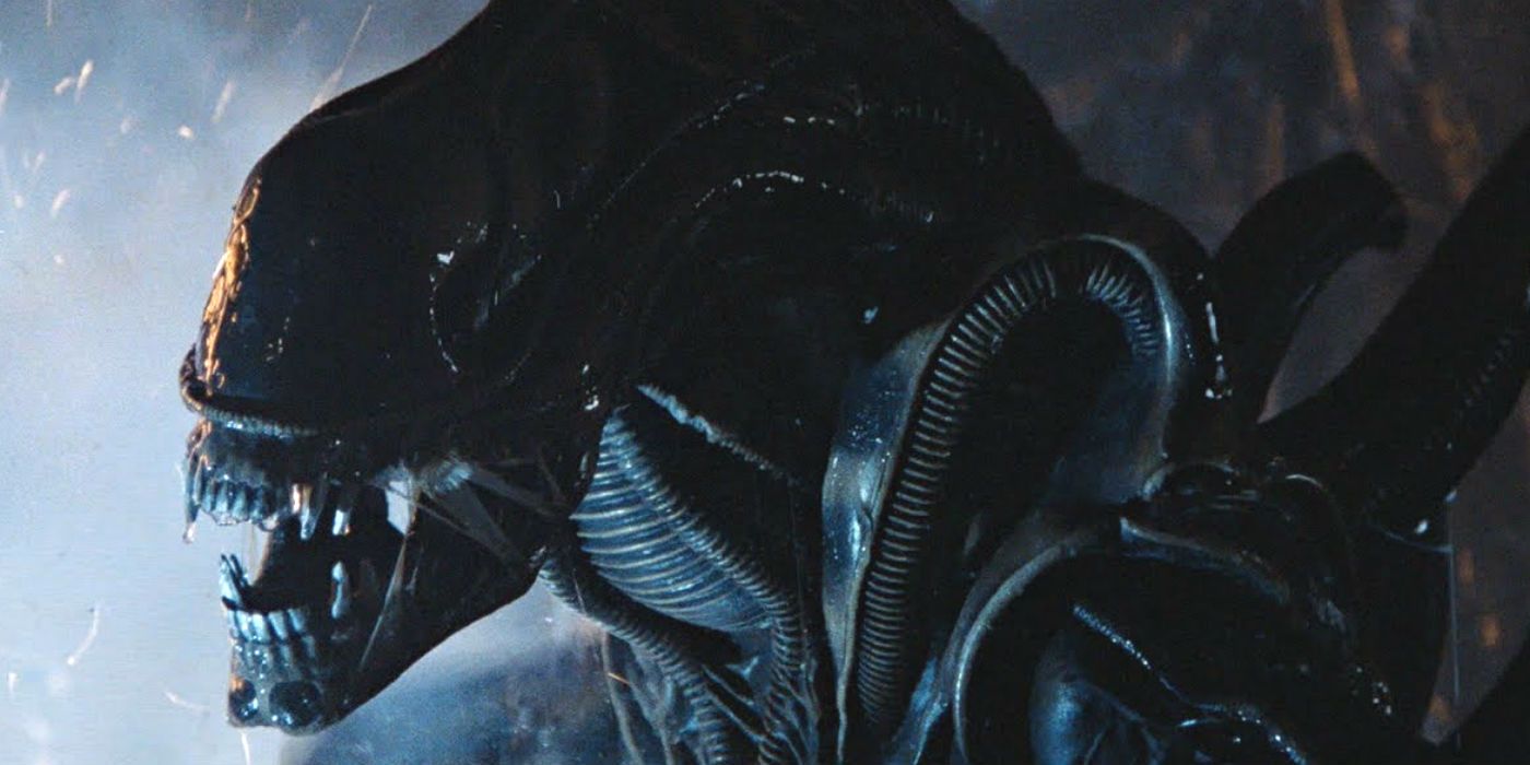 Alien’s Original Xenomorph Origin (Before Prometheus)
