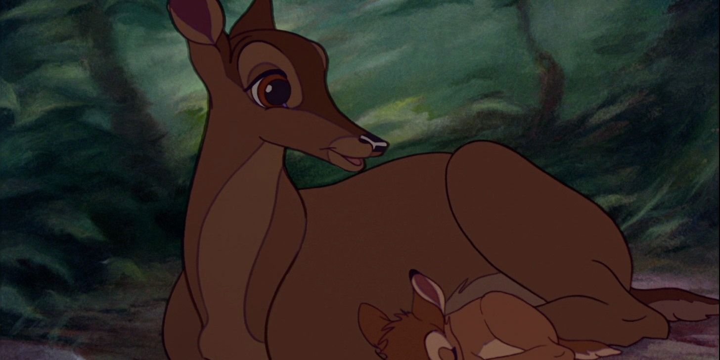 Bambi sleeping close to his mom