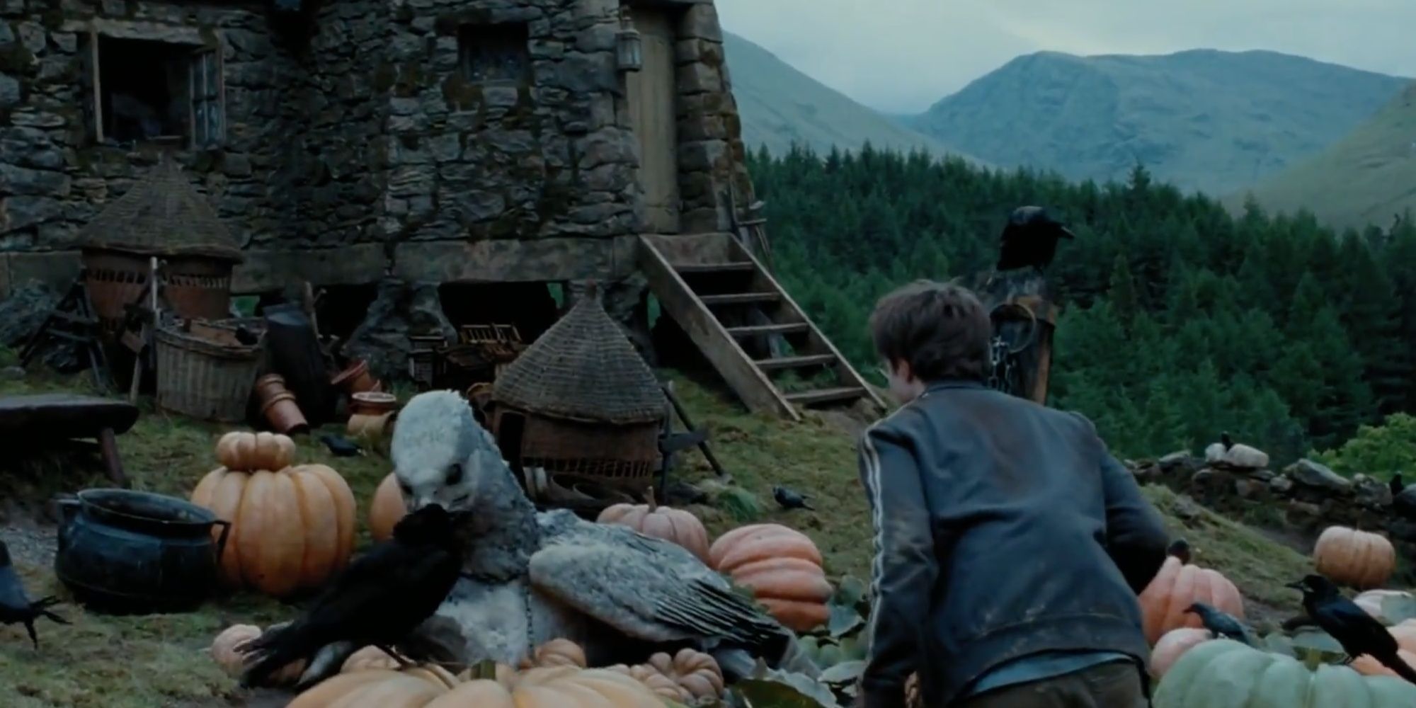 An image of Harry approaching Buckbeak in Prisoner of Azkaban