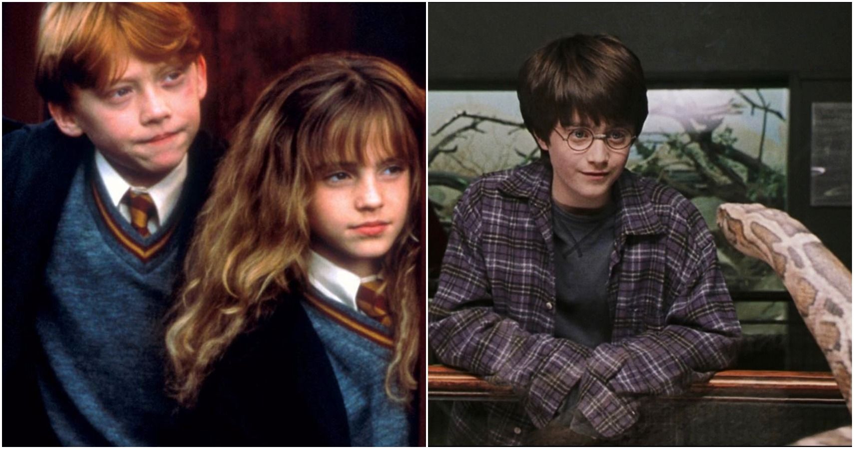 harry potter