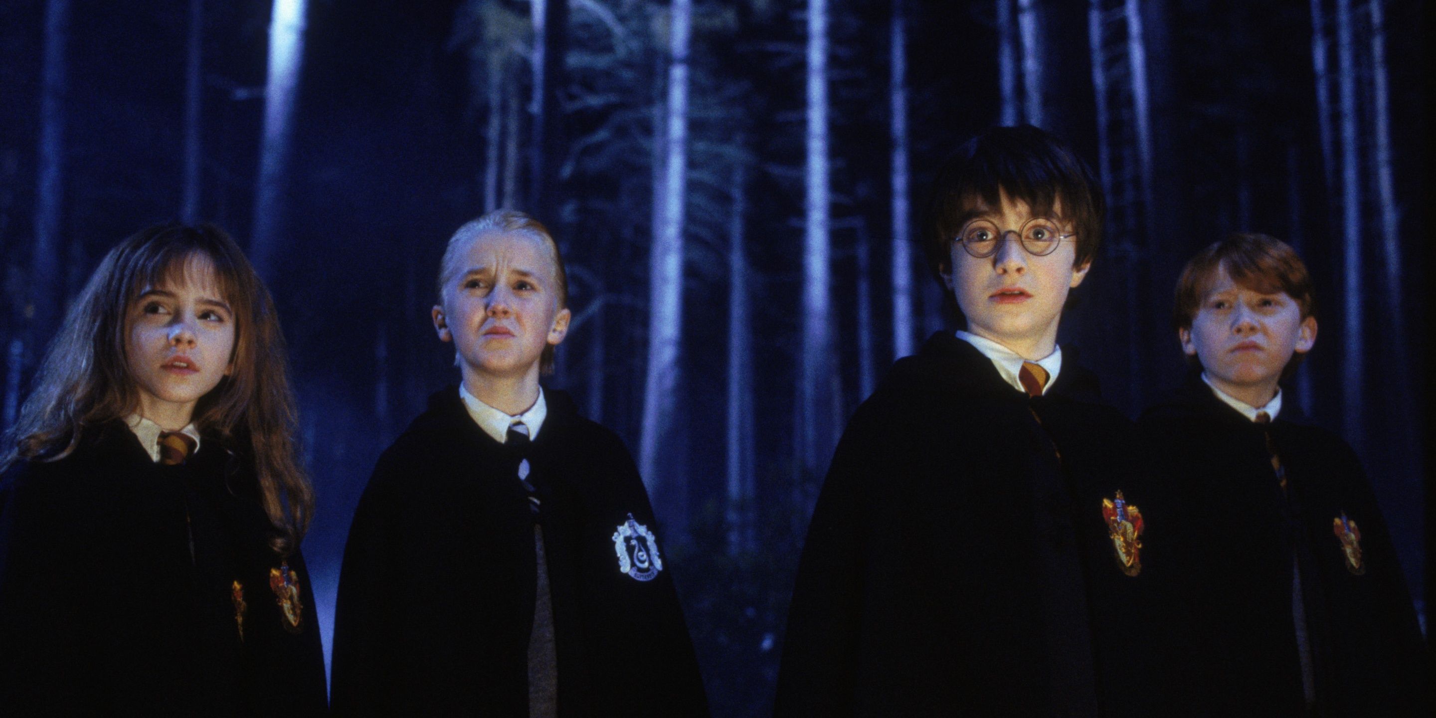 Hermione, Draco, Harry and Ron in Forest