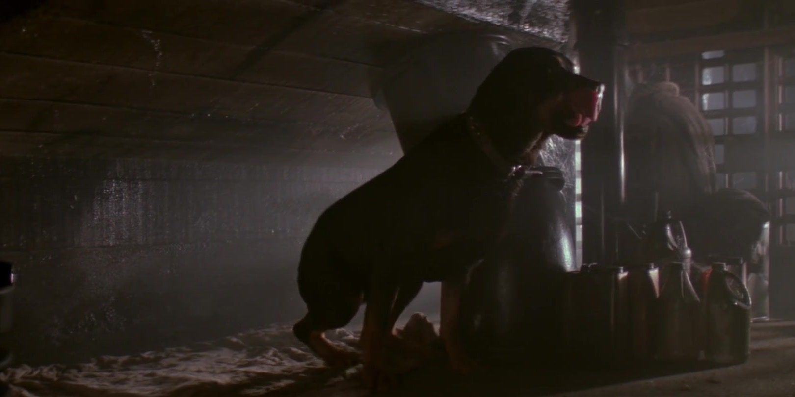 Alien3