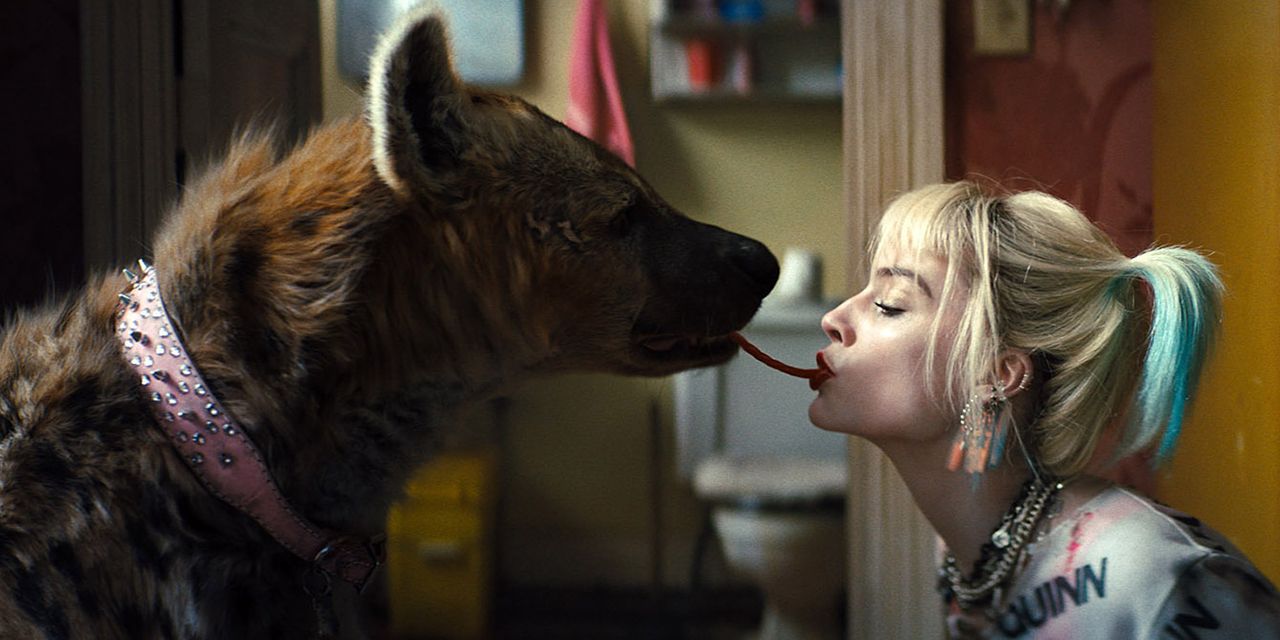 hyena and harley share food in Birds of Prey