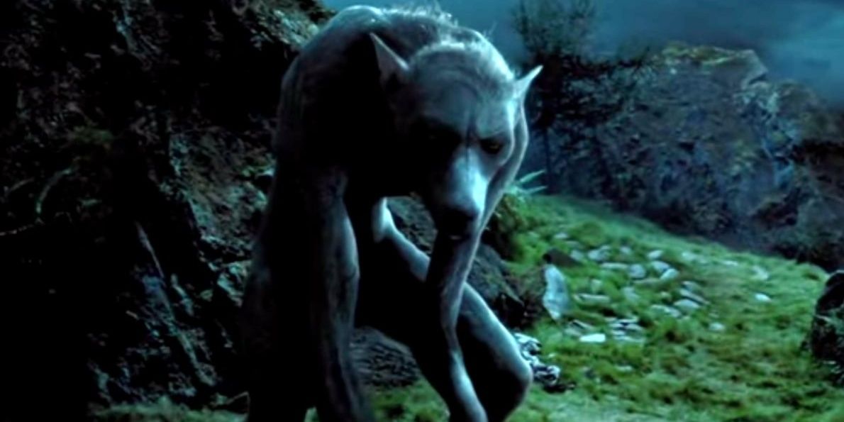 Lupin as a Werewolf in Harry Potter and the Prisoner of Azkaban