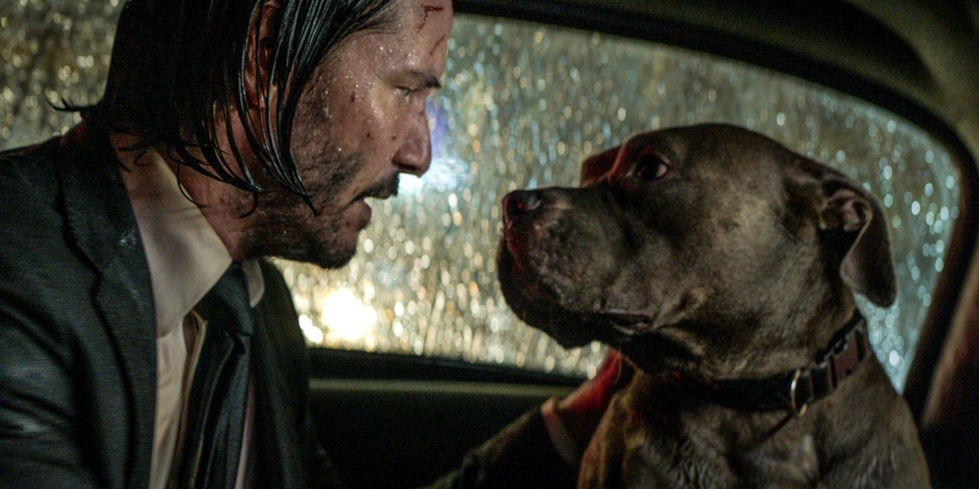 John Wick talks to a dog in the back of a New York taxicab