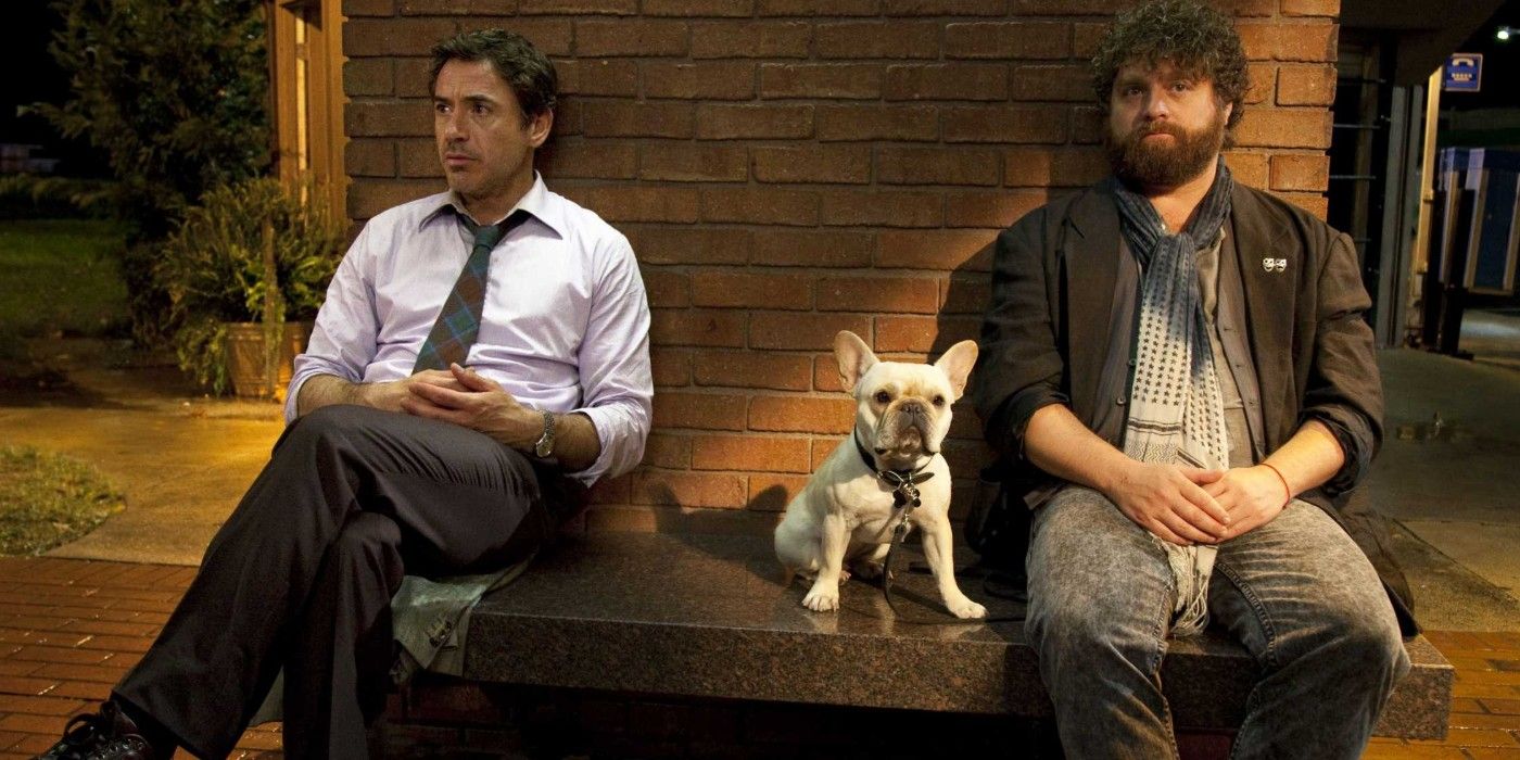 Robert Downey Jr and Zach Galifianakis in Due Date
