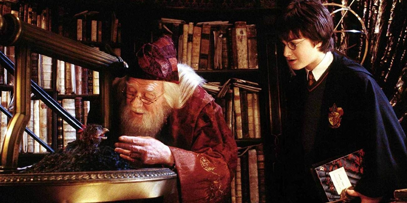 Dumbledore and Harry Harry Potter