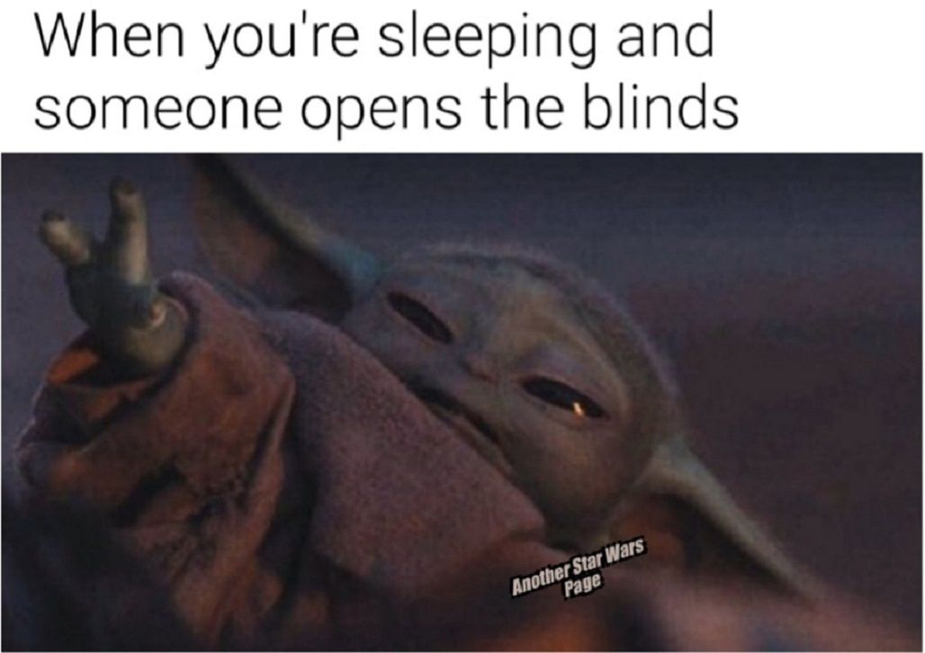 10 Most Relatable Sleeping Baby Yoda Memes That Will Make You Cry Laughing