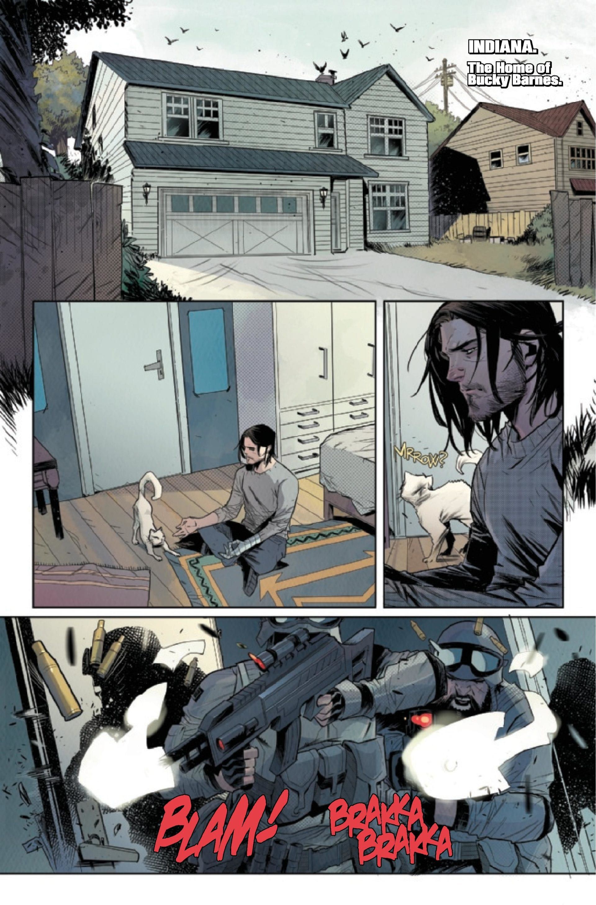 Falcon and Winter Soldier