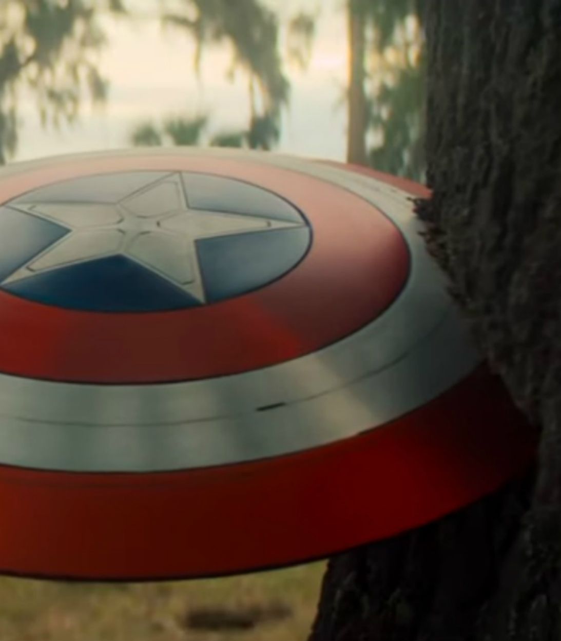 Falcon and Winter Soldier Captain America Shield Vertical